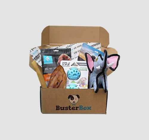 cat subscription boxes