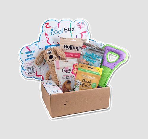 custom pet subscription boxes