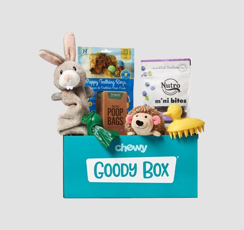 wholesale pet subscription boxes